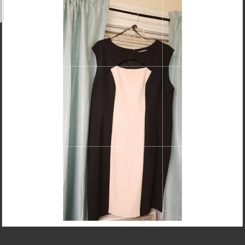 Dress Barn dress